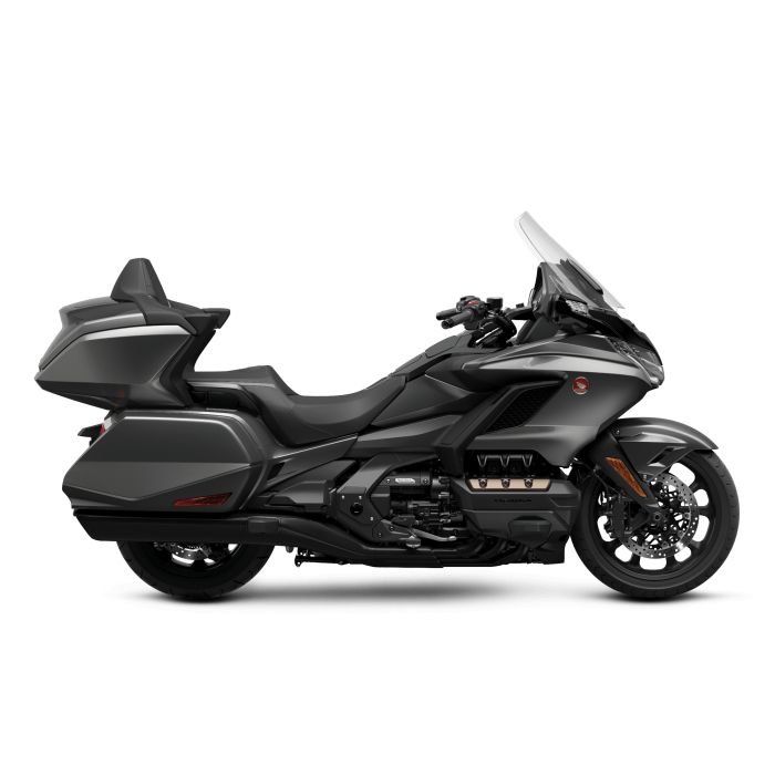 Gold Wing Tour